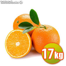 Naranjas Mesa 17kg