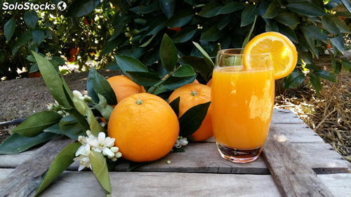 Resultado de imagen de zumo de mandarina naranja