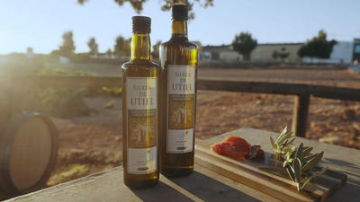 Natives Olivenöl extra 500ml Glasflasche Kaltgepresst spanischer Herkunf - Foto 5