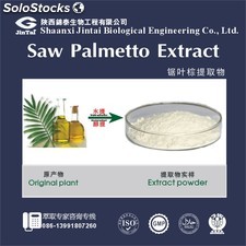 Natural powder 25% Saw Palmetto