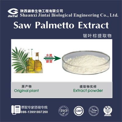 Natural powder 25% Saw Palmetto