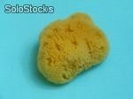 Naturalna gąbka morska typu Silk 1,5-3cm (3szt)