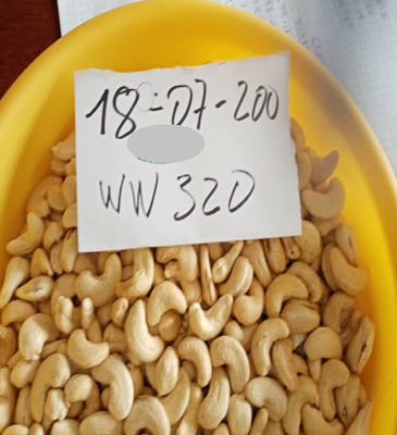 Noix de cajou ww 240 /320 Cashew Nut