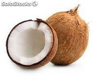 noix de coco fraîche (semi-décortiqué)