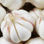 Nova safra natural de alho branco fresco com melhor preço 2017 ! - Foto 4