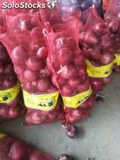 nowy przyjazd najlepiej sprzedających się świeżej czerwonej cebuli