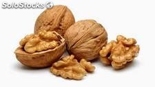 Nueces con cascara chandler y serr cosecha 2018 sacos de 10 kilos