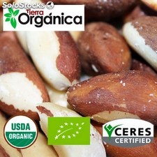 Nueces de Brasil (orgánica &amp; convencional)