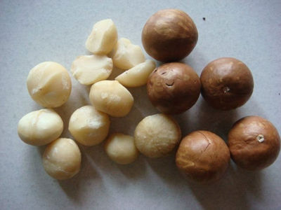 Nueces de macadamia - Foto 2