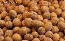 nueces en carcasa