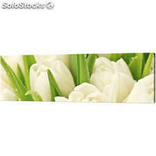 Obraz 3 częściowy - Tryptyk &quot;Delikatne tulipany&quot;