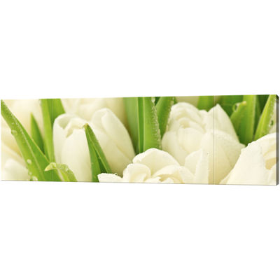 Obraz 3 częściowy - Tryptyk &quot;Delikatne tulipany&quot;