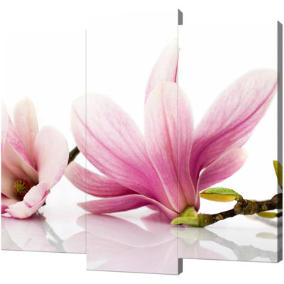 Obraz 3 częściowy - Tryptyk &quot;Różowe magnolie&quot;