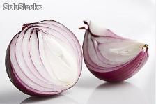 Oignon (onion) - Photo 2