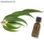 Olio essenziale di eucalipto all&amp;#39;ingrosso - Foto 3