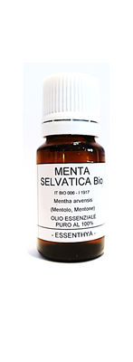 Olio Essenziale di Menta selvatica BIO (Mentha arvensis) | 10 ml