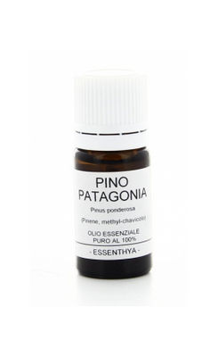 Olio Essenziale di Pino della Patagonia (Pinus Ponderosa) | 5 ml
