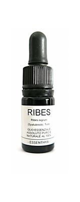 Olio essenziale di Ribes (RIbes) | 2 ml