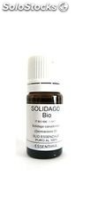 Olio Essenziale di Solidago BIO (Solidago canadensis) | 5 ml