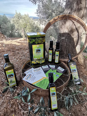Olio evo 100% made in italy extravergine di oliva