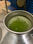 Olio Evo Murgia Puglia da oliva coratina - Foto 4