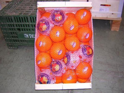 Oranges a 0,70Eur/Kg - Photo 2