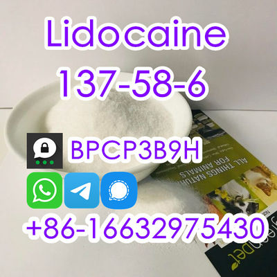 Order Lidocaine CAS 137-58-6 Today - Photo 4