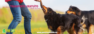 Organic JUNGER HUND - Pienso natural cachorros con 80% de Carne (16kgs)