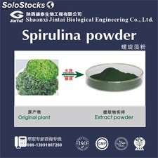 Organic Spirulina Extract Powder 60% Protein Powder