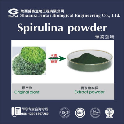 Organic Spirulina Extract Powder 60% Protein Powder