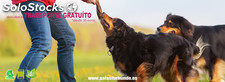 Organic SPORTLICH - Pienso natural perros con 85% Carne (16kgs)