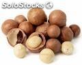 Orgánicos nueces de macadamia con alta calidad