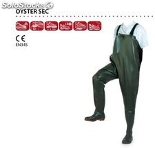 Oyster sec