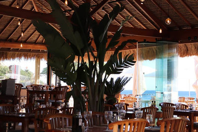 pabellón restaurante en Ibiza - Foto 3