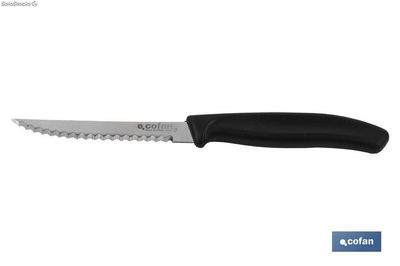 Pack 6 unidades de cuchillos microdentados | Hoja de 10,5 cm | Resistencia y