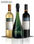 Pack de Vinos y Champagne - Navarro Correas - 1