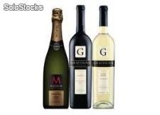 Packs de Vinos y champagne para Fin de año - Bodega Graffigna