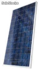 Painel Solar Fotovoltaico Policristalino de 140w Yingli Solar - yl140p-17b - Foto 2