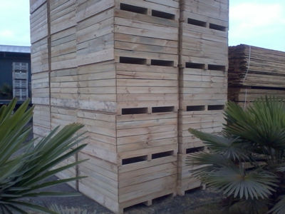Pallets y Bins madera - Foto 2