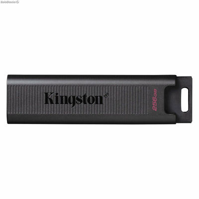 Pamięć usb Kingston dtmax/256GB 256 GB