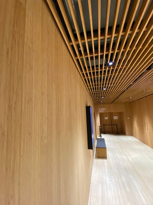 Panel de techo de pared de bambú para casa, materiales de construcción de bambú - Foto 4