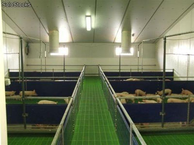 Panel Sandwich de cubierta para granjas animales - Foto 2