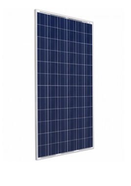 Panel Solar 320W 24V Amerisolar Policristalino