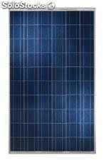 Paneles Solares Fotovoltaico 150Wp Monocristalino 24v