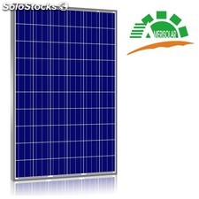 Panneau photovoltaïque Amerisolar 280 Wc