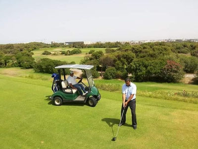 Panneau pour voiture de Golf et electrique - Photo 5