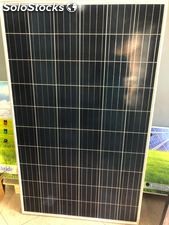 Panneau solaire polycristallin 270 wc CW ENERJI