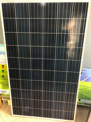 Panneau solaire polycristallin 270 wc CW ENERJI