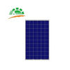 Panneaux photovoltaïques AMERISOLAR polycristallin 250W
