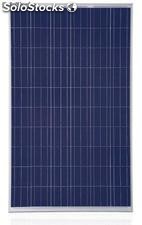 Panneaux photovoltaïques pour production d´électricité trinasolar